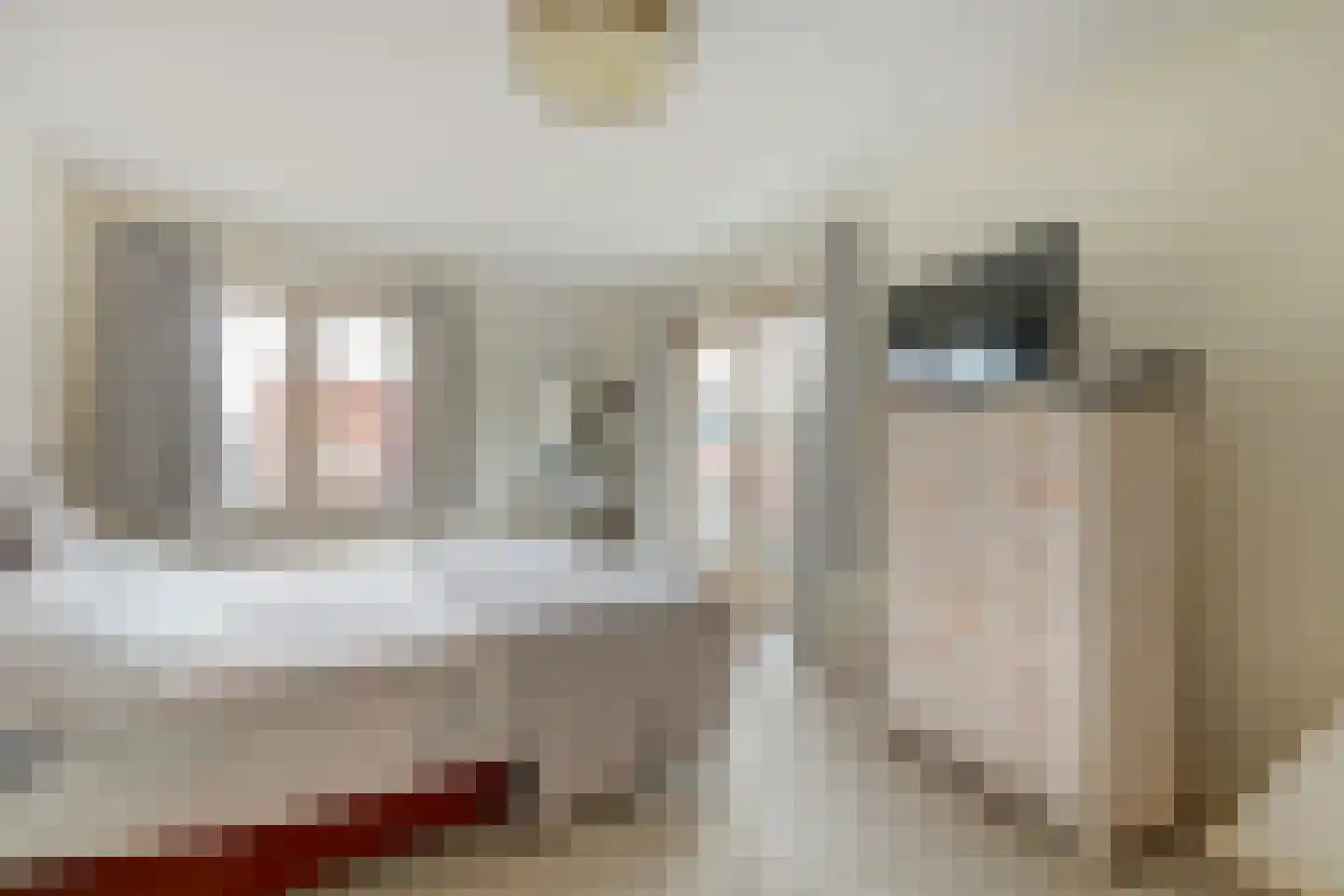 's-Gravenzandseweg 104 Naaldwijk thumbnail 26