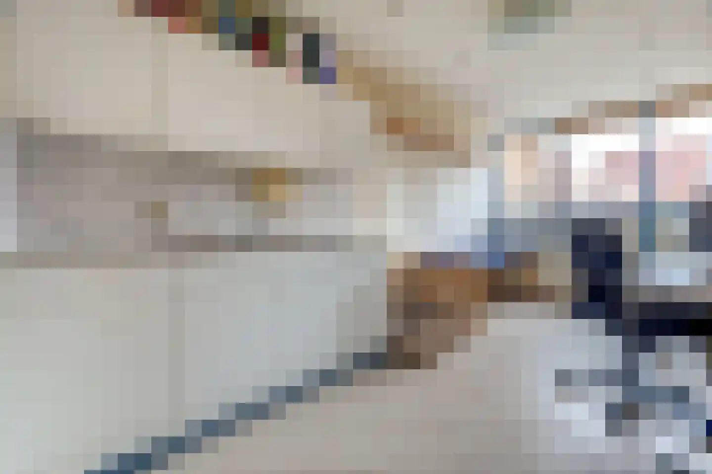 's-Gravenzandseweg 104 Naaldwijk thumbnail 33