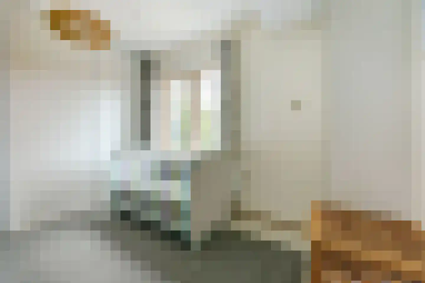 's-Gravenzandseweg 104 Naaldwijk thumbnail 36