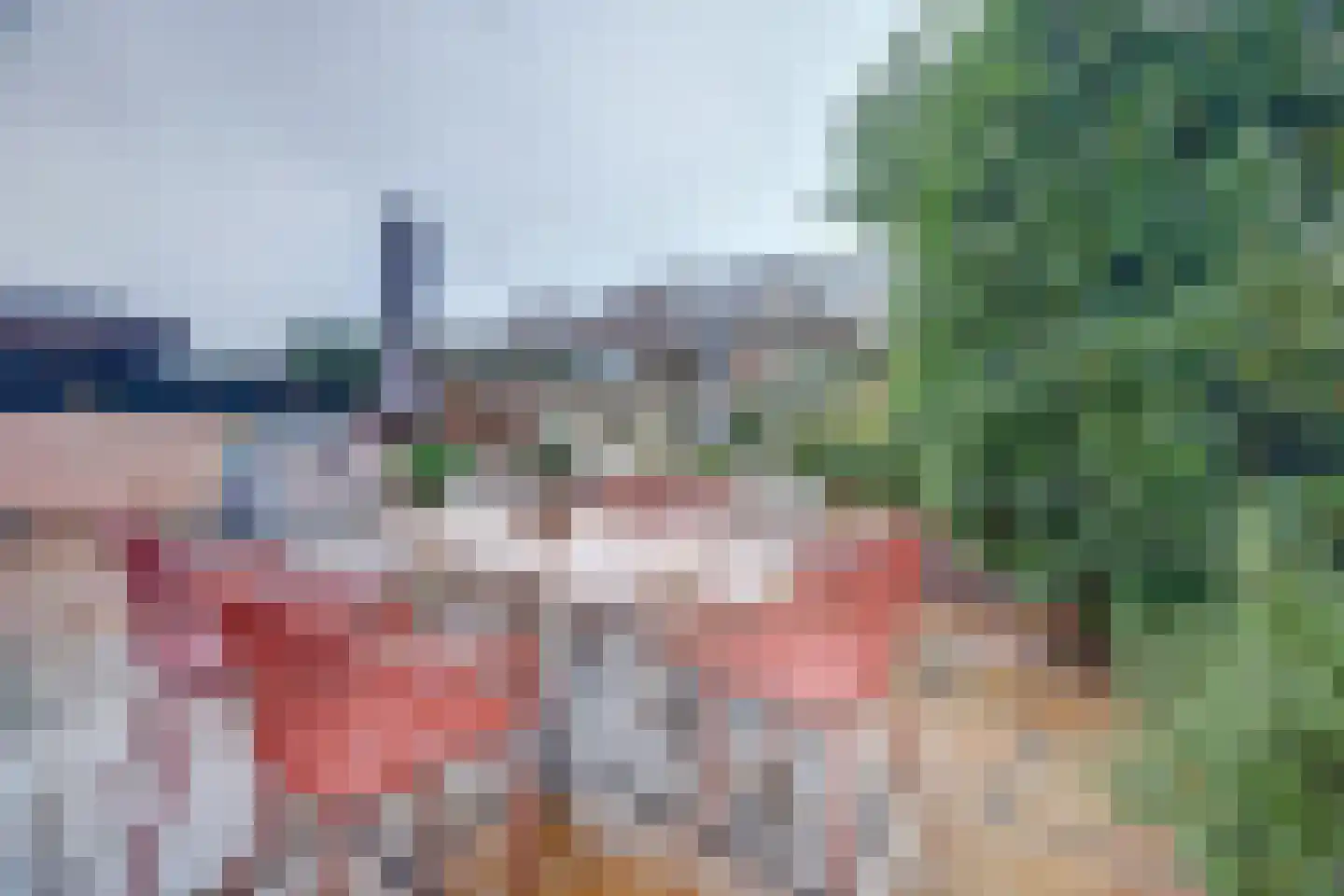 's-Gravenzandseweg 104 Naaldwijk thumbnail 61