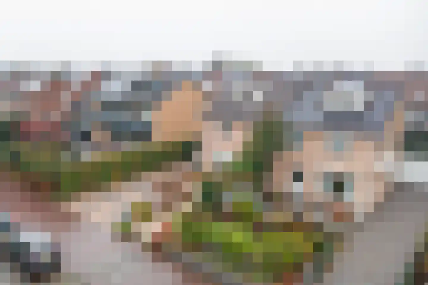 's-Gravenzandseweg 104 Naaldwijk thumbnail 62