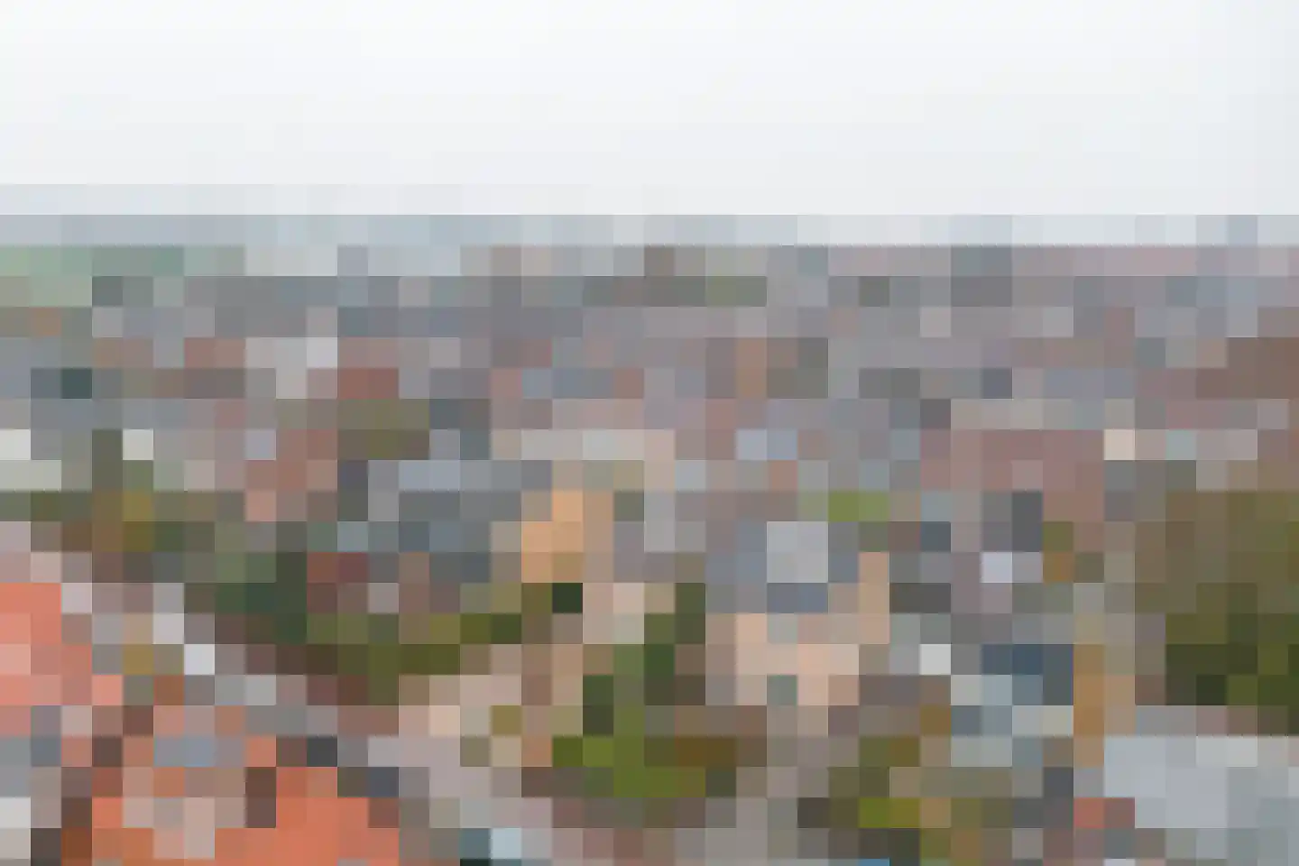 's-Gravenzandseweg 104 Naaldwijk thumbnail 63