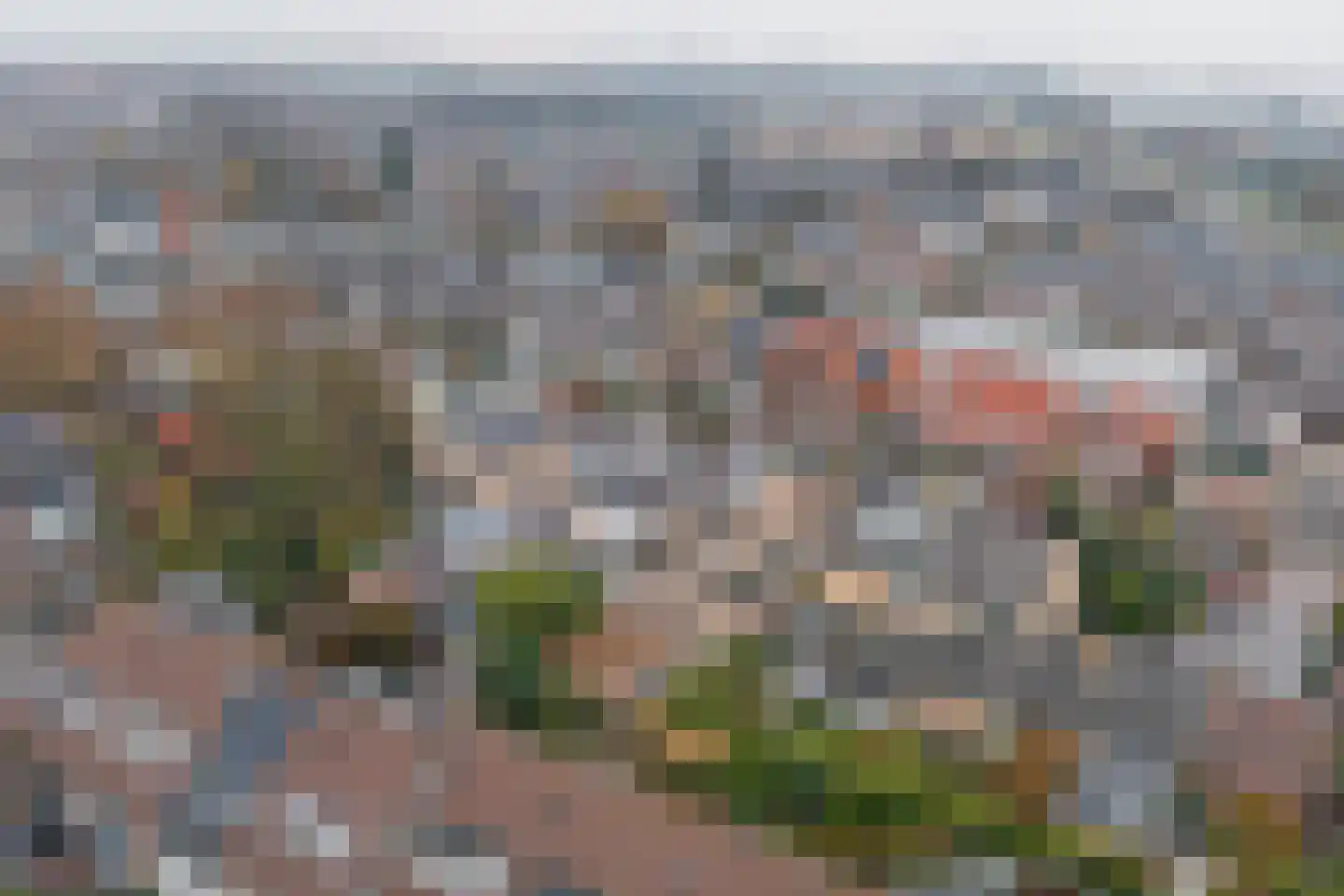 's-Gravenzandseweg 104 Naaldwijk thumbnail 65