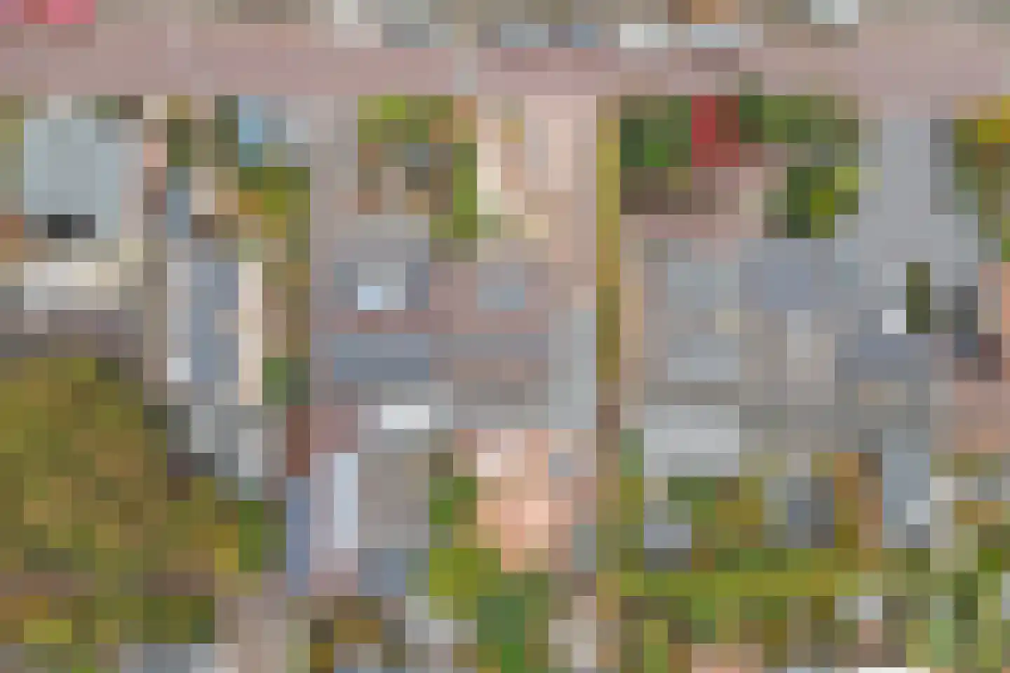 's-Gravenzandseweg 104 Naaldwijk thumbnail 66