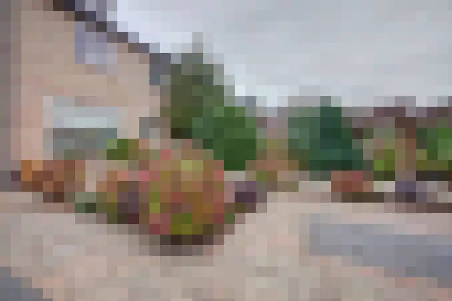 's-Gravenzandseweg 104 Naaldwijk thumbnail 9