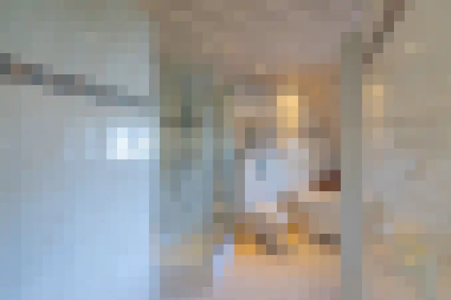 's-Gravenzandseweg 141 Naaldwijk thumbnail 23