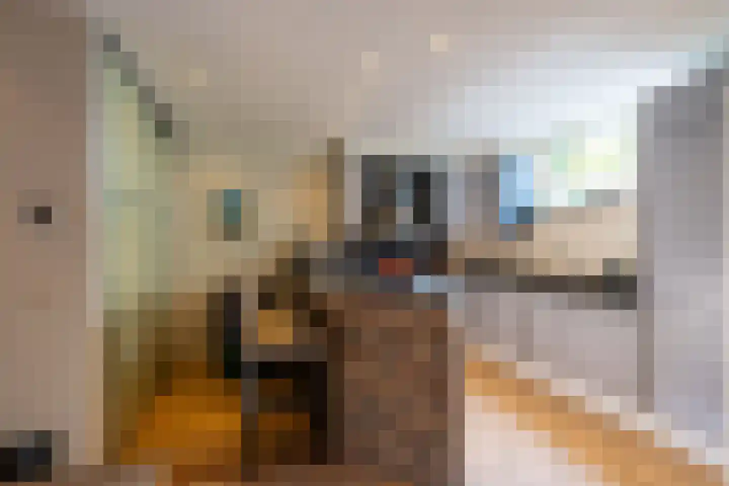 's-Gravenzandseweg 141 Naaldwijk thumbnail 8