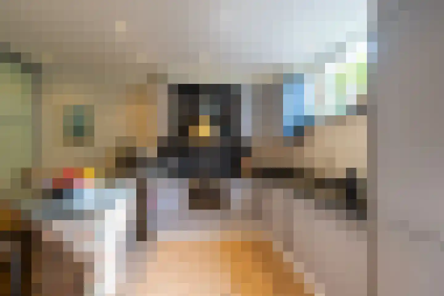 's-Gravenzandseweg 141 Naaldwijk thumbnail 9