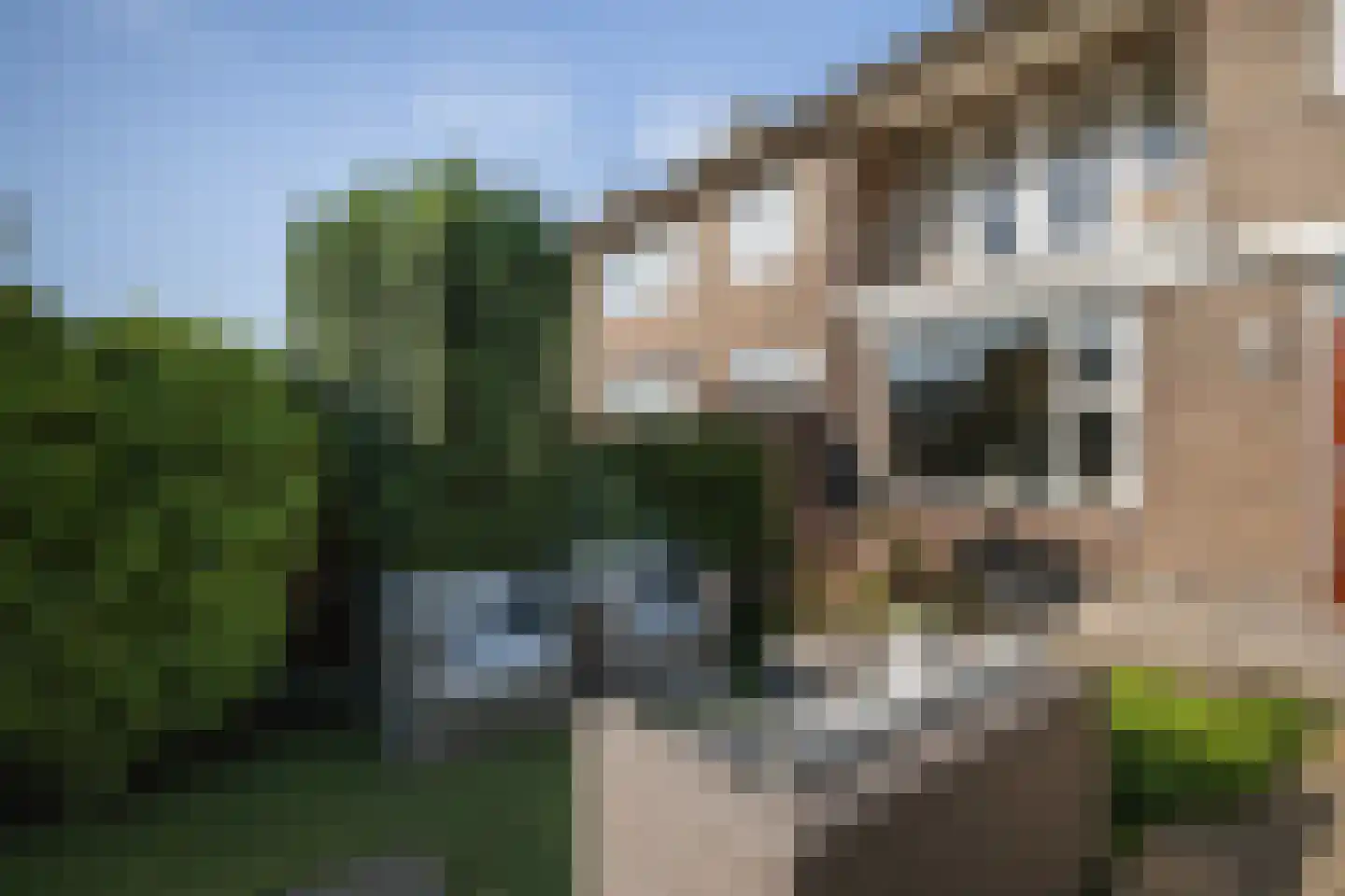 's-Gravenzandseweg 149 Naaldwijk thumbnail 15