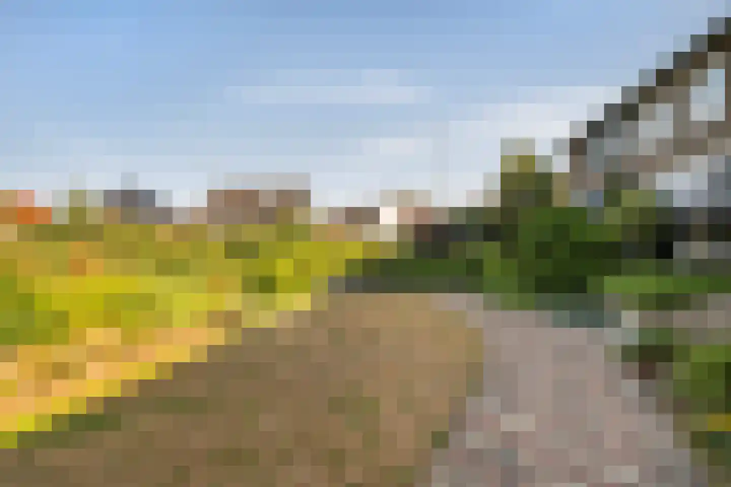 's-Gravenzandseweg 149 Naaldwijk thumbnail 30