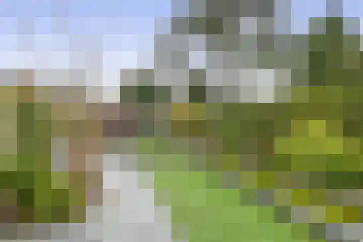 's-Gravenzandseweg 238 Hoek van Holland thumbnail 22