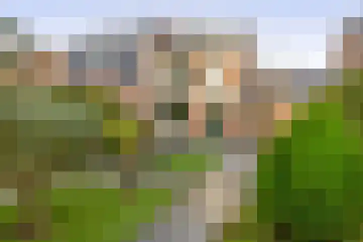 's-Gravenzandseweg 238 Hoek van Holland thumbnail 24