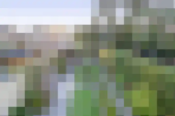 's-Gravenzandseweg 238 Hoek van Holland thumbnail 26