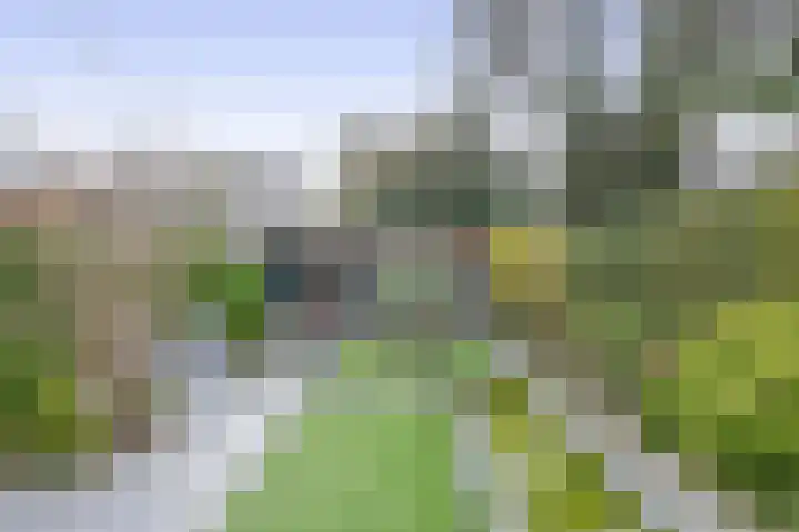 's-Gravenzandseweg 238 Hoek van Holland thumbnail 4