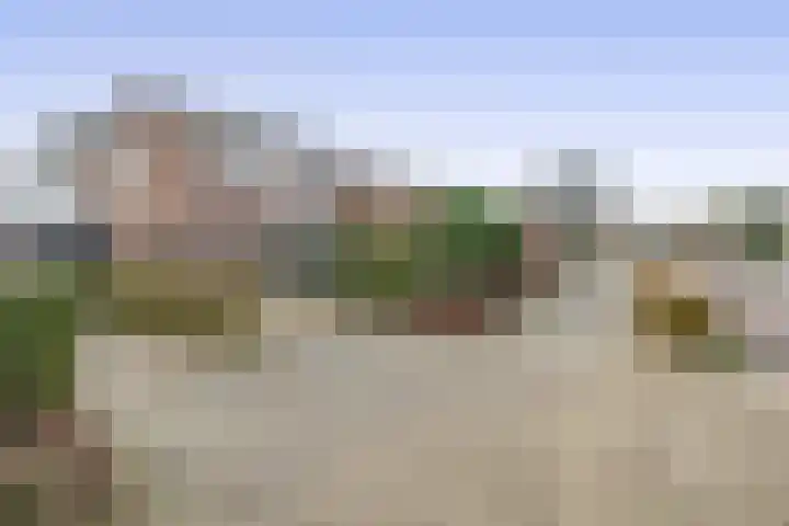 's-Gravenzandseweg 238 Hoek van Holland thumbnail 47