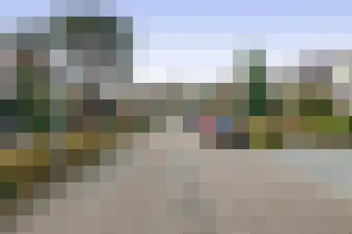 's-Gravenzandseweg 238 Hoek van Holland thumbnail 48
