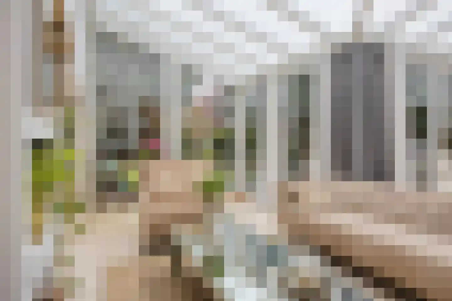 's-Gravenzandseweg 250 Hoek van Holland thumbnail 30
