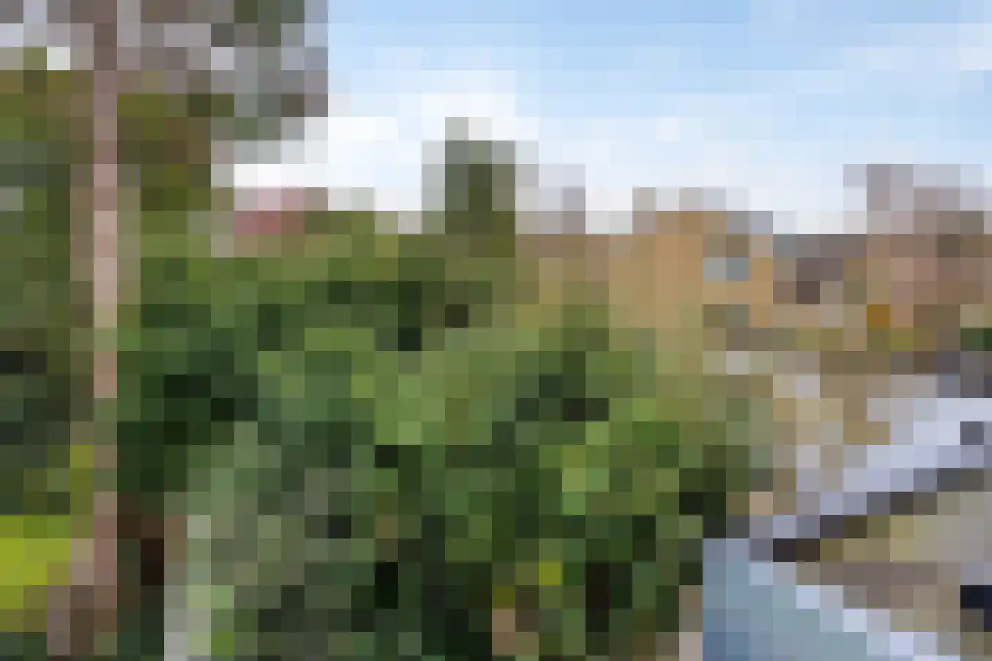 's-Gravenzandseweg 250 Hoek van Holland thumbnail 49