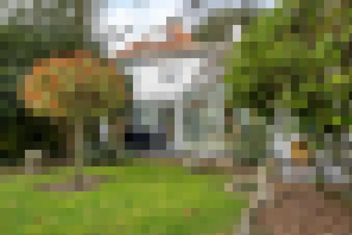 's-Gravenzandseweg 250 Hoek van Holland thumbnail 5