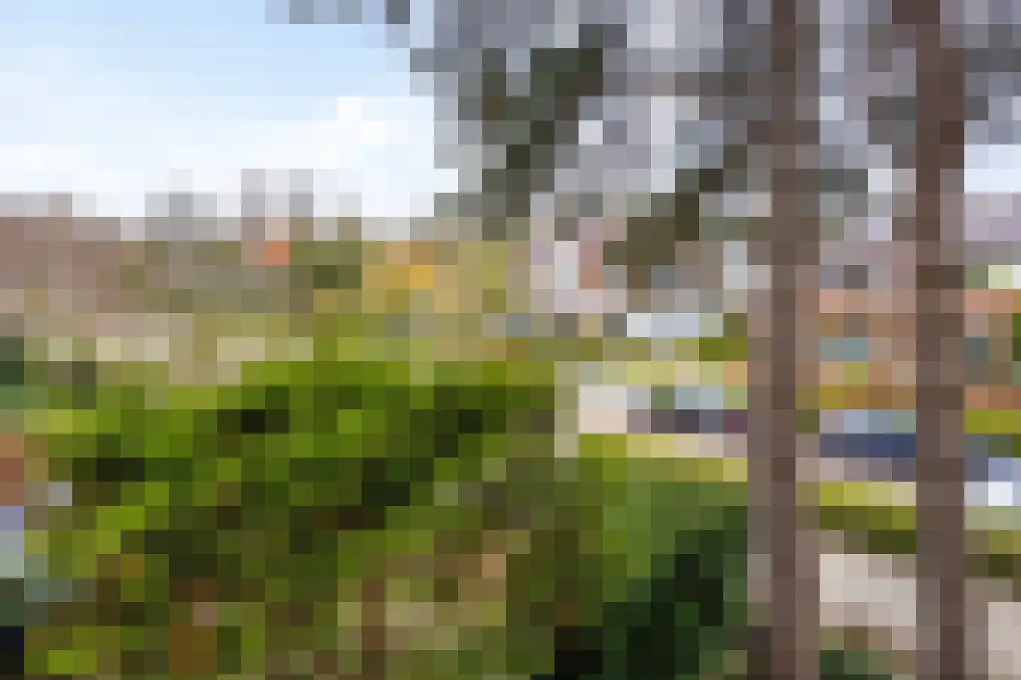 's-Gravenzandseweg 250 Hoek van Holland thumbnail 53