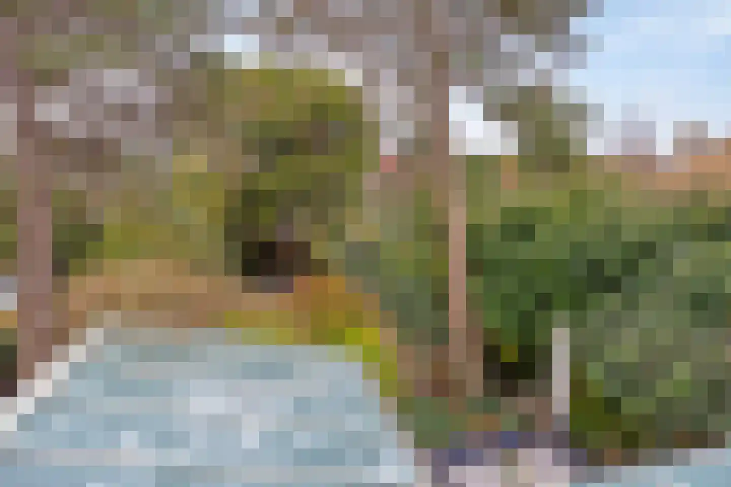 's-Gravenzandseweg 250 Hoek van Holland thumbnail 57