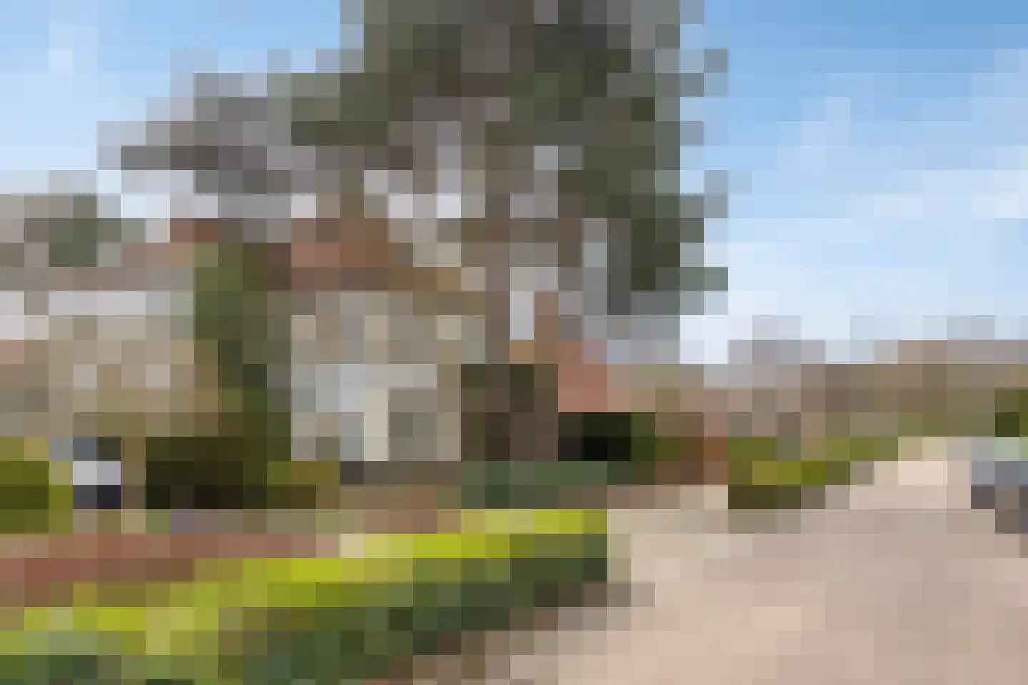 's-Gravenzandseweg 250 Hoek van Holland thumbnail 6