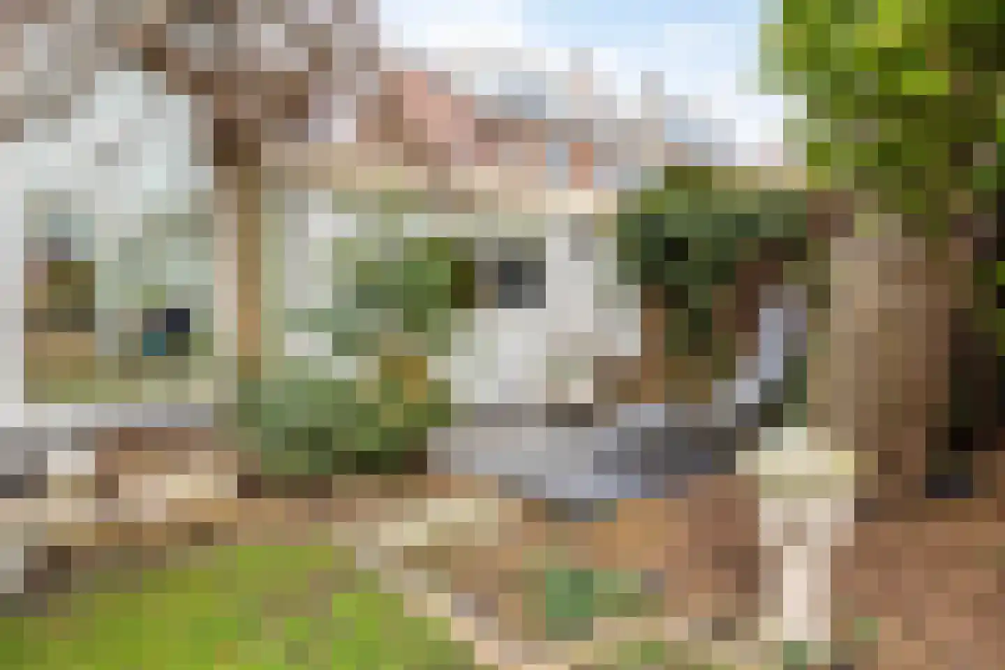 's-Gravenzandseweg 250 Hoek van Holland thumbnail 75