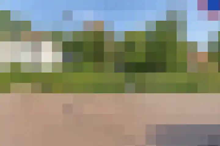 's-Gravenzandseweg 261 Hoek van Holland thumbnail 6