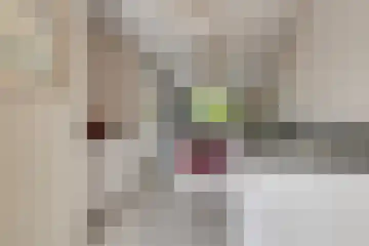 's-Gravenzandseweg 284 B Hoek van Holland thumbnail 30