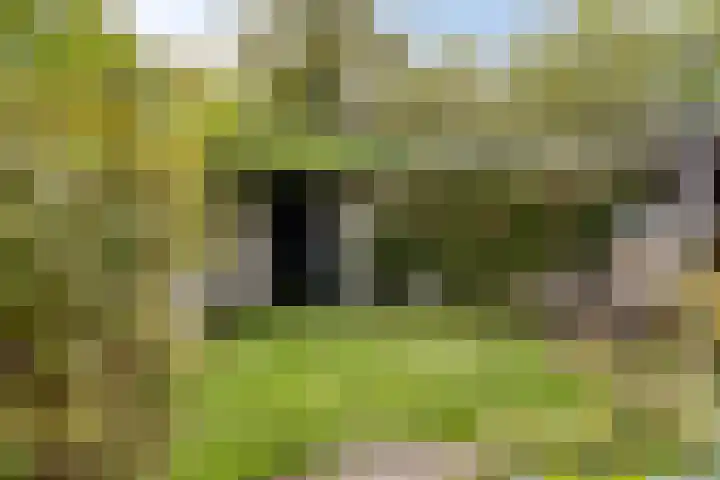's-Gravenzandseweg 284 B Hoek van Holland thumbnail 51
