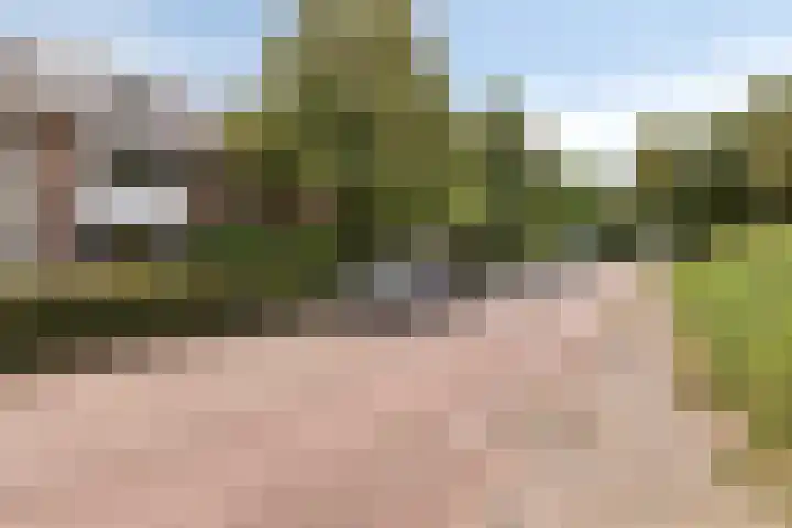 's-Gravenzandseweg 284 B Hoek van Holland thumbnail 8