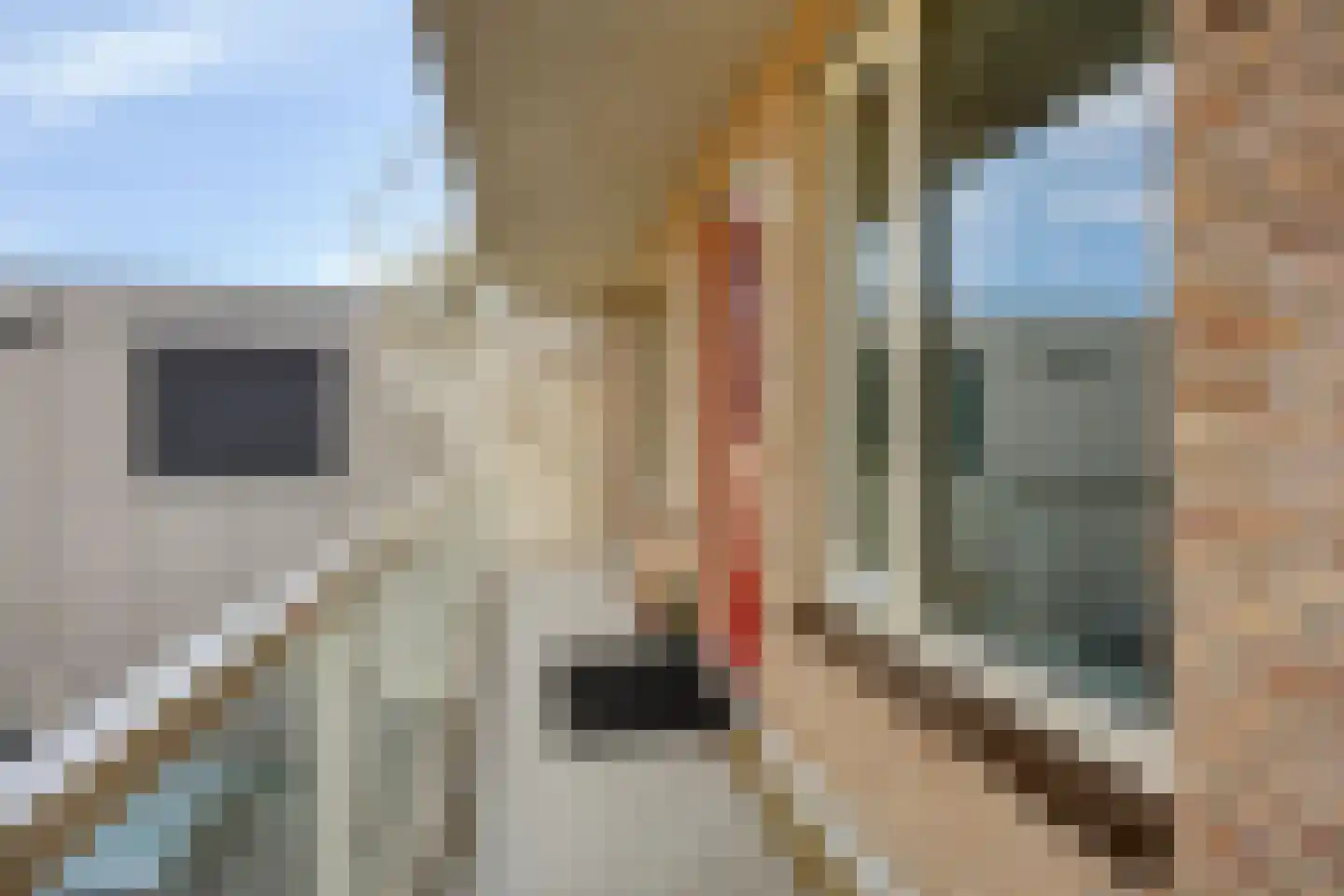 's-Gravenzandseweg 42 A Naaldwijk thumbnail 11