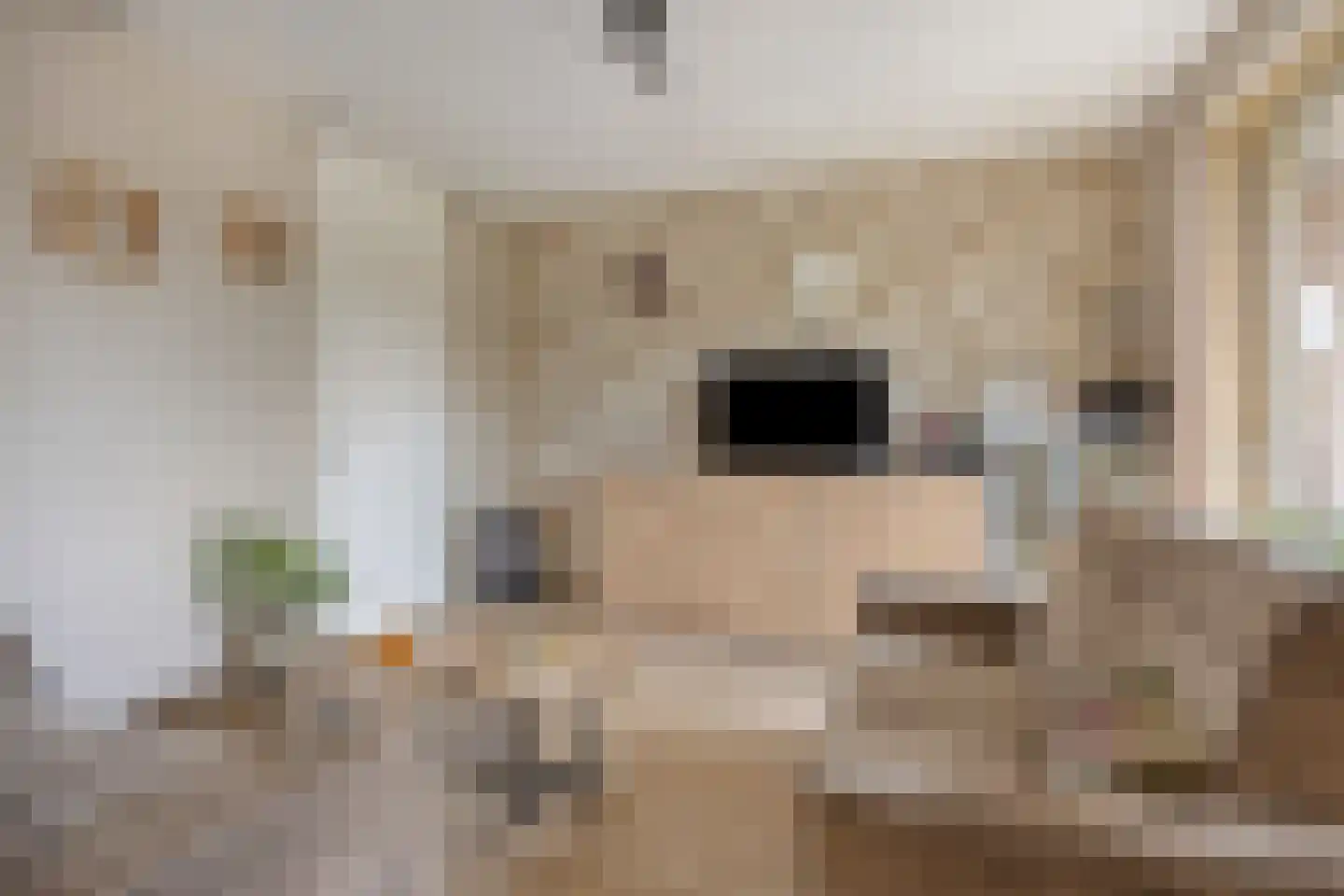 's-Gravenzandseweg 42 A Naaldwijk thumbnail 13