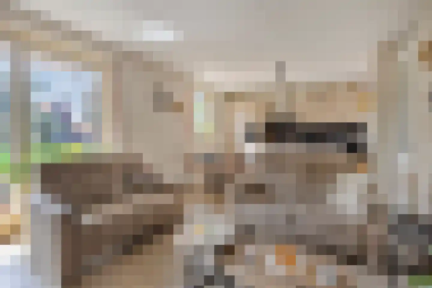 's-Gravenzandseweg 42 A Naaldwijk thumbnail 14