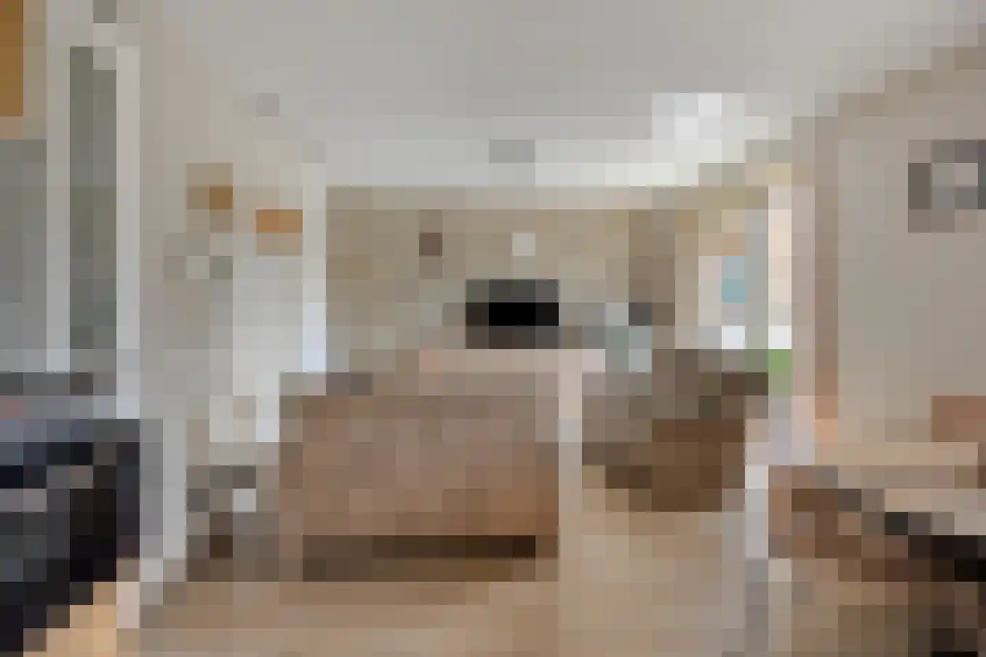 's-Gravenzandseweg 42 A Naaldwijk thumbnail 17