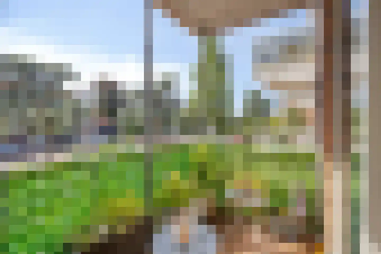 's-Gravenzandseweg 42 A Naaldwijk thumbnail 19