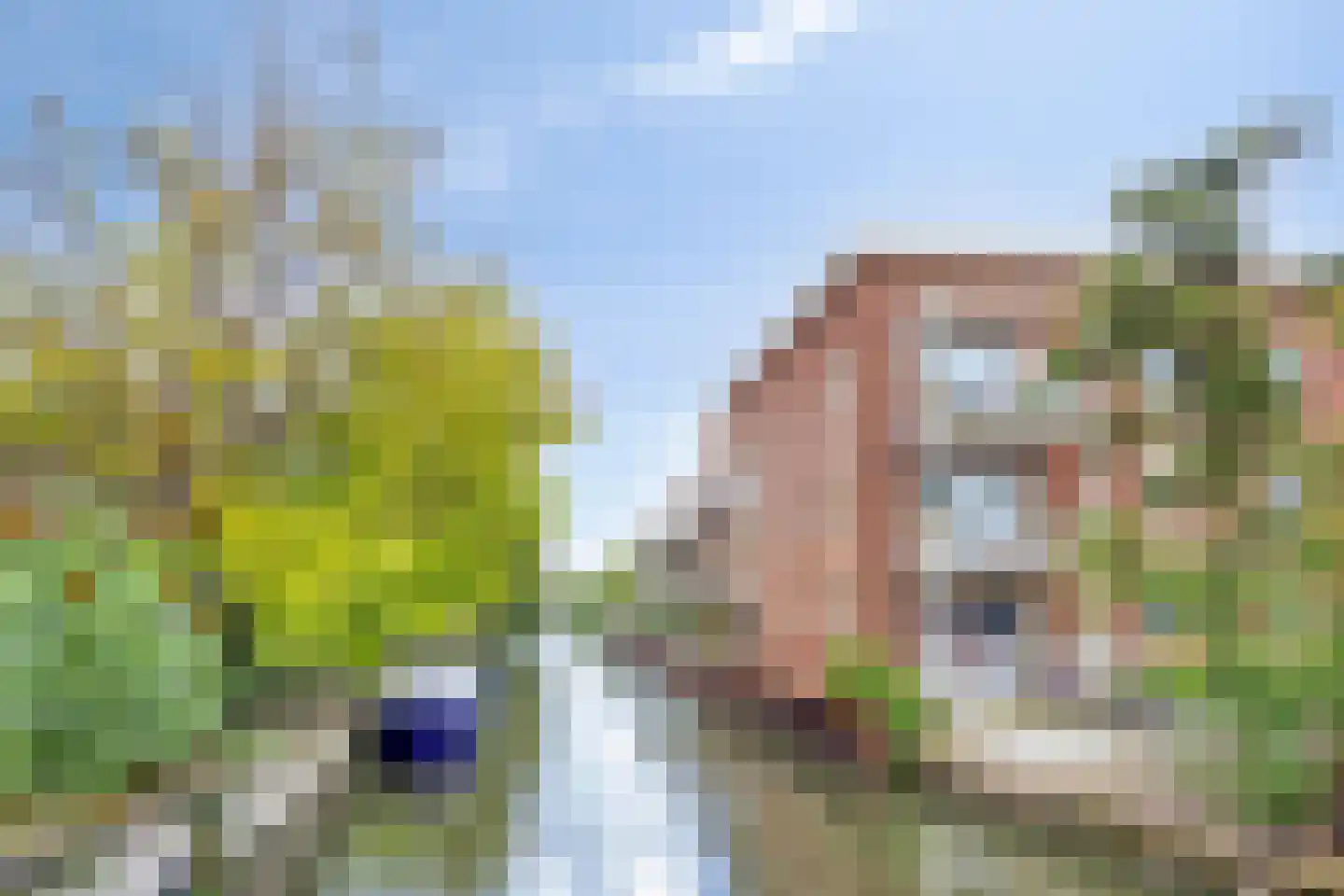 's-Gravenzandseweg 42 A Naaldwijk thumbnail 31