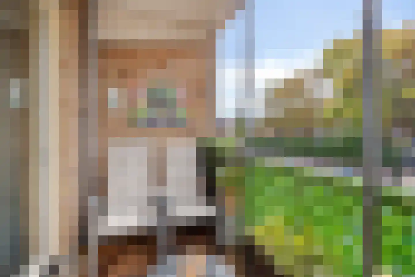 's-Gravenzandseweg 42 A Naaldwijk thumbnail 4