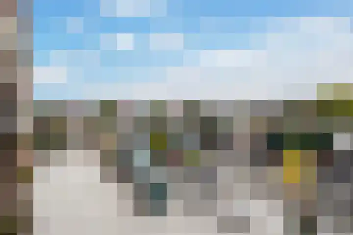 's-Gravenzandseweg 44 S Naaldwijk thumbnail 12