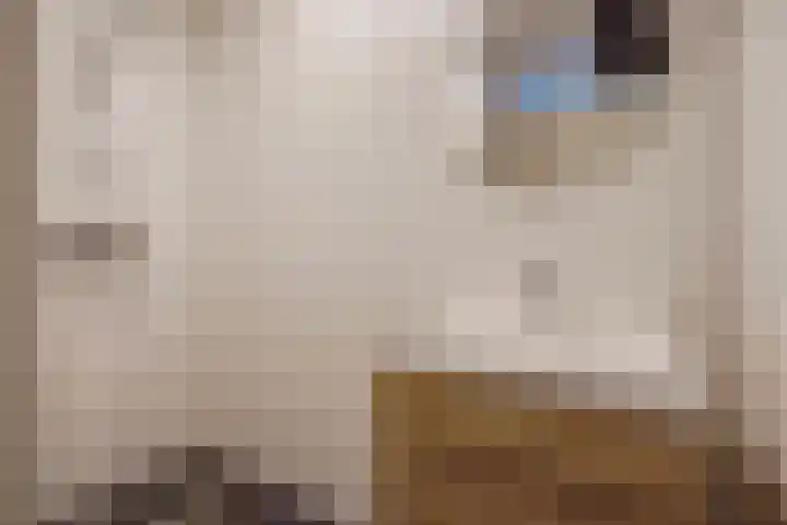 's-Gravenzandseweg 44 S Naaldwijk thumbnail 23