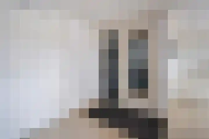 's-Gravenzandseweg 44 S Naaldwijk thumbnail 29