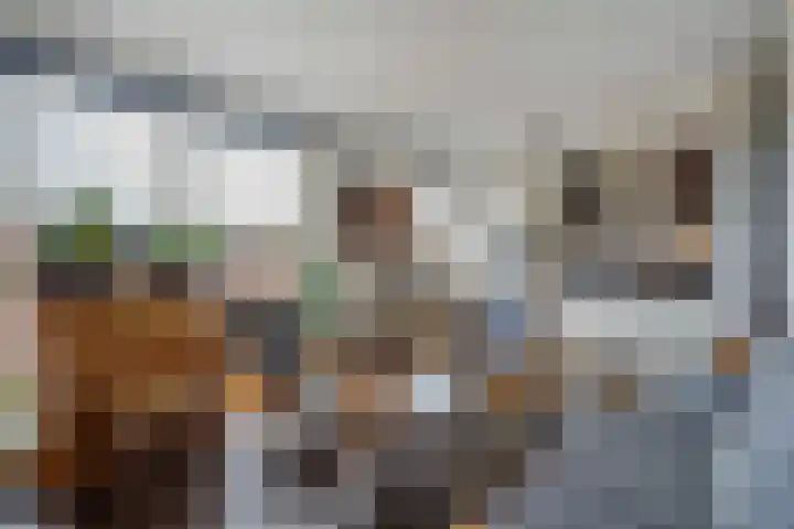 's-Gravenzandseweg 44 S Naaldwijk thumbnail 6