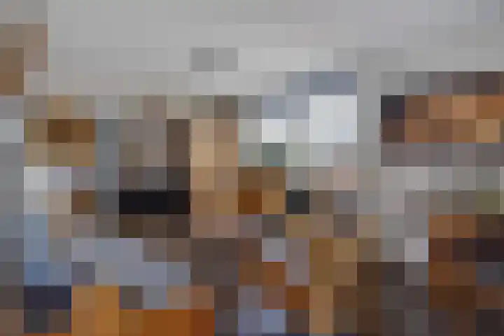 's-Gravenzandseweg 44 S Naaldwijk thumbnail 7