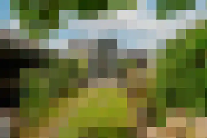 's-Gravenzandseweg 52 Naaldwijk thumbnail 18
