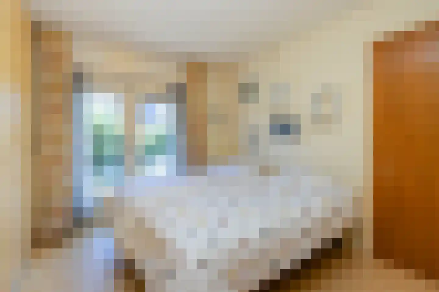 's-Gravesandelaan 1 Hilversum thumbnail 16
