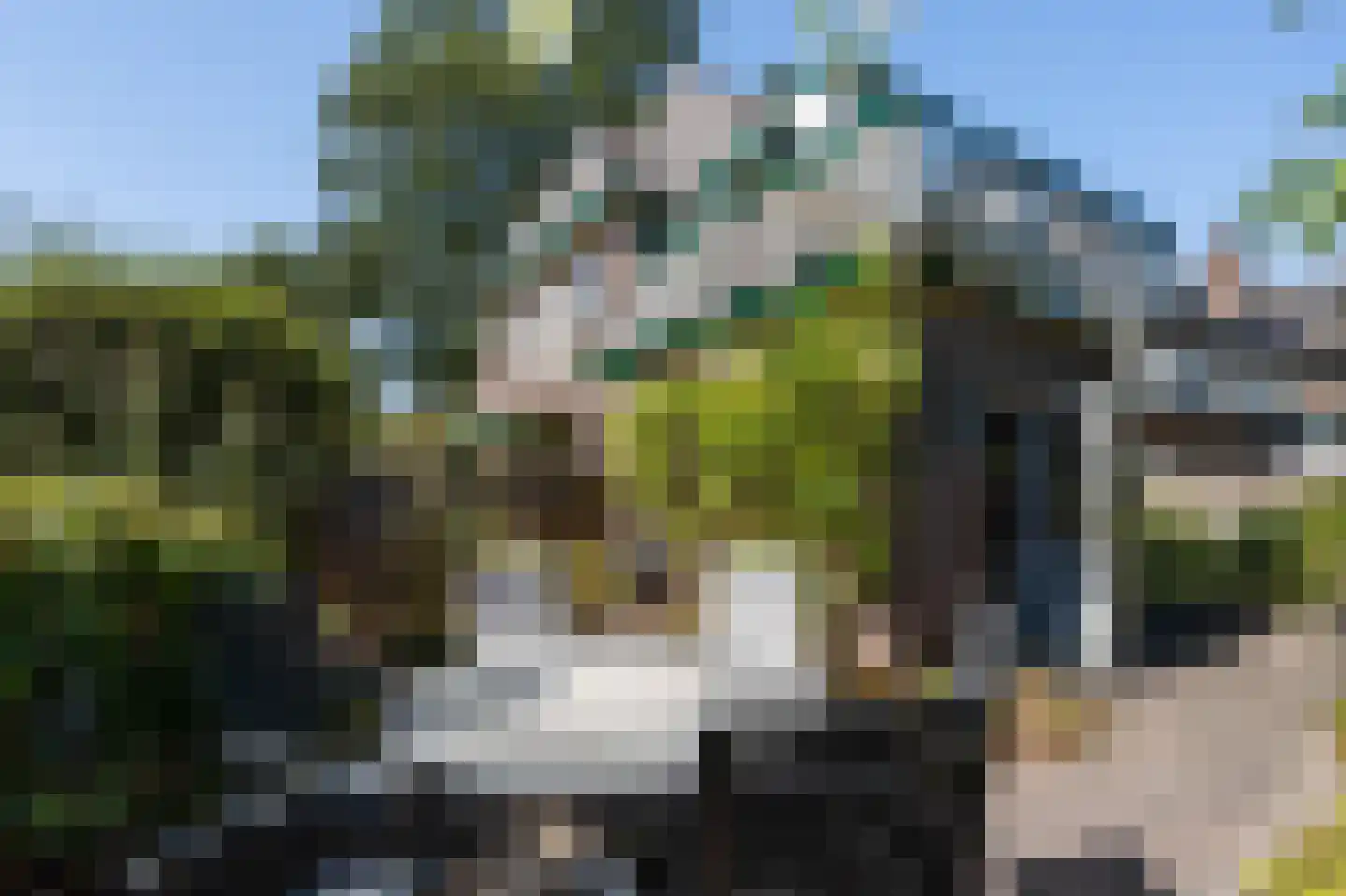 's-Gravesandelaan 1 Hilversum thumbnail 23