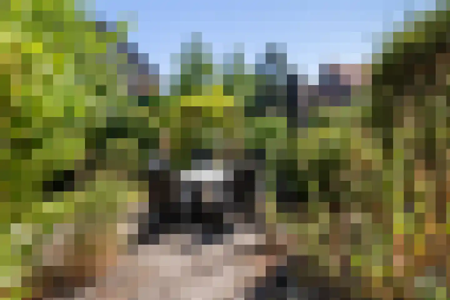 's-Gravesandelaan 1 Hilversum thumbnail 26