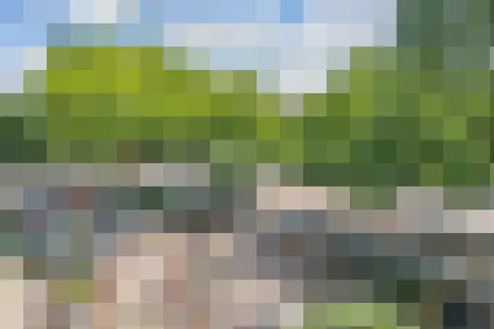 's-Gravesandeplein 17 1 Amsterdam thumbnail 11