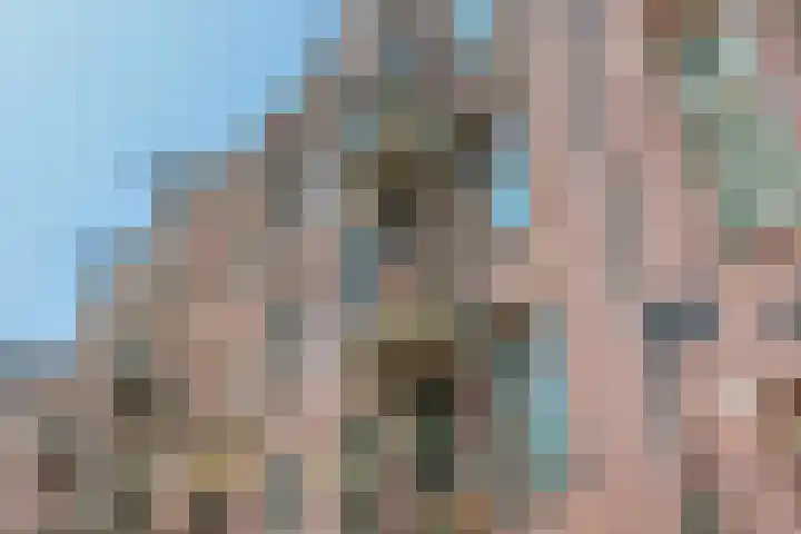 's-Gravesandeplein 17 1 Amsterdam thumbnail 36
