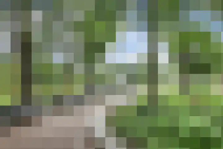 's-Gravesandeplein 17 1 Amsterdam thumbnail 43